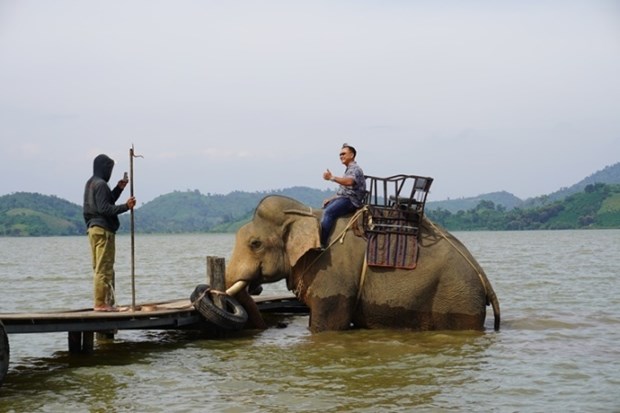 Triển khai mô hình du lịch sinh thái thân thiện với voi tại Đắk Lắk - 2