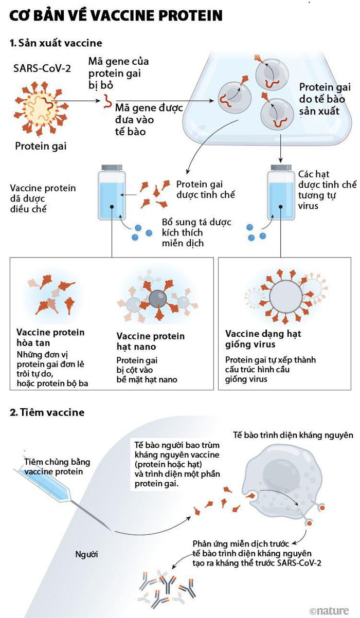 WHO cấp phép sử dụng khẩn cấp vaccine ngừa Covid-19 thứ 10 - 2