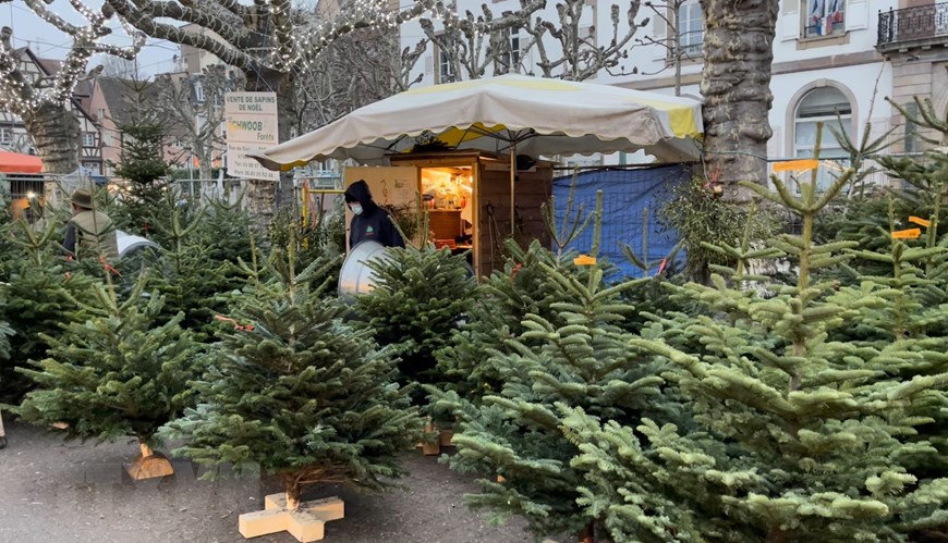 Chợ Noel Strasbourg - điểm hẹn của khách du lịch dịp cuối năm - 4