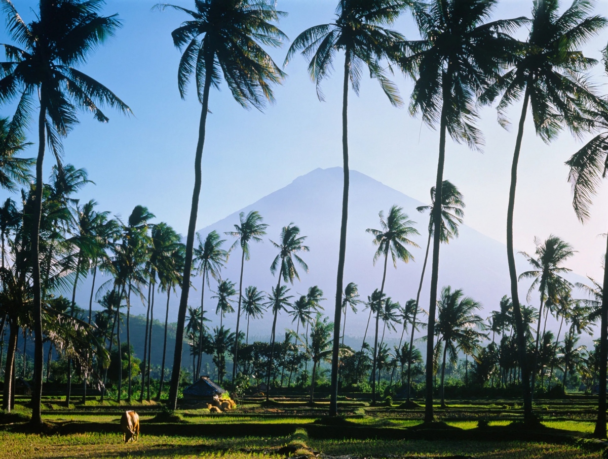 Những bức ảnh ấn tượng khiến bạn lập tức muốn đến Bali - 5