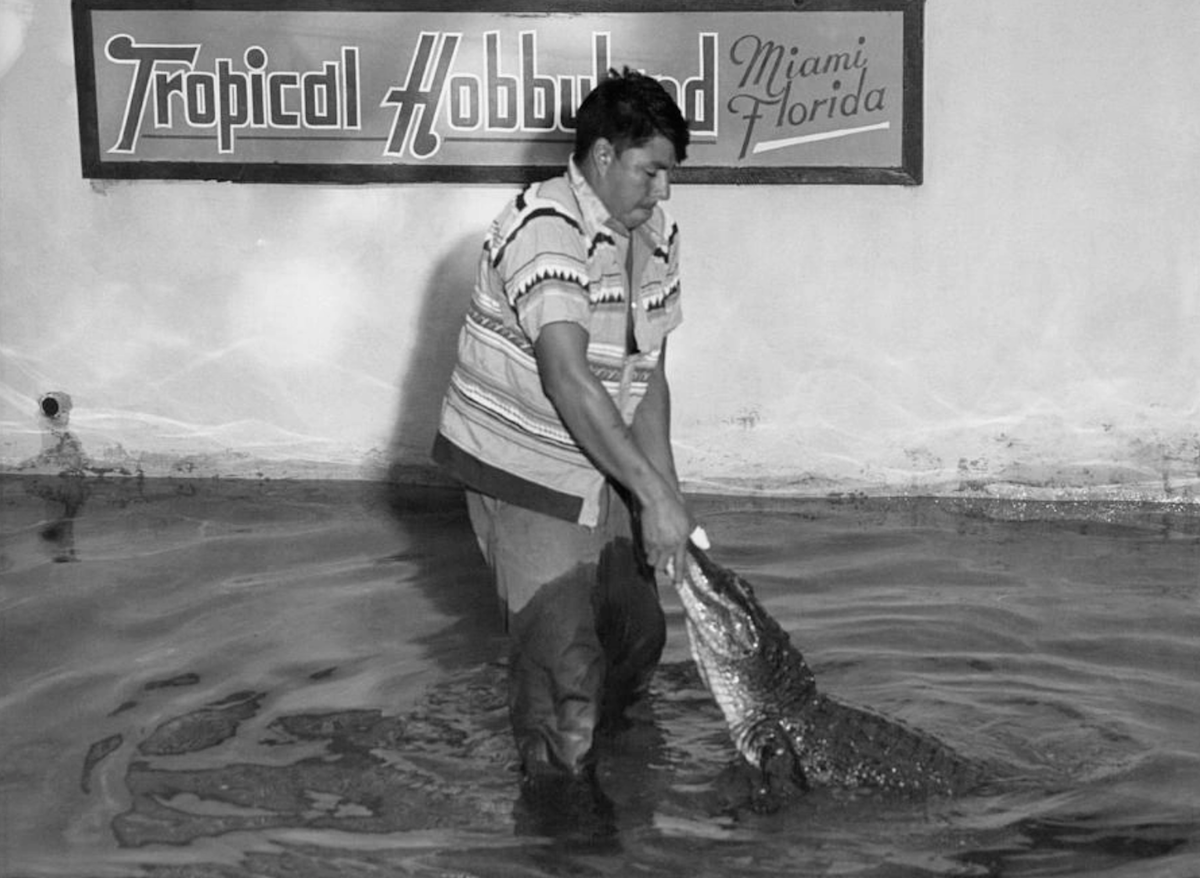 Những người chui đầu vào mõm cá sấu để kiếm tiền - 4