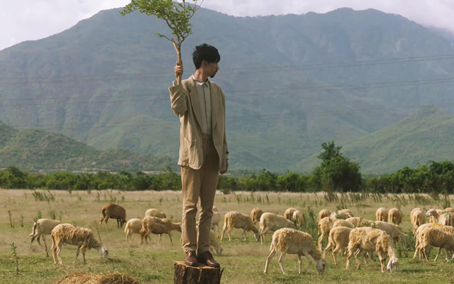 Những cánh đồng thả cừu ấn tượng ở Việt Nam khiến hội mê sống ảo đứng ngồi không yên - 13