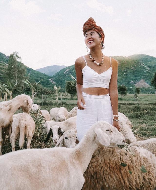 Những cánh đồng thả cừu ấn tượng ở Việt Nam khiến hội mê sống ảo đứng ngồi không yên - 16