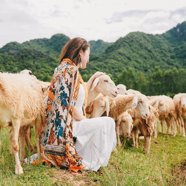 Những cánh đồng thả cừu ấn tượng ở Việt Nam khiến hội mê sống ảo đứng ngồi không yên - 3