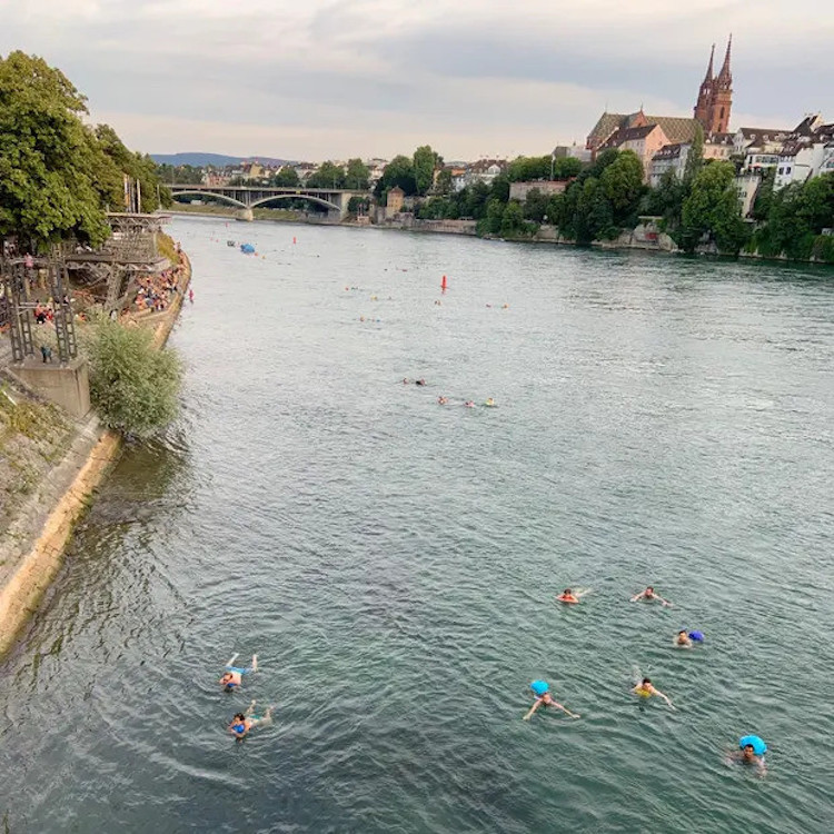 Dân Thụy Sĩ bơi từ văn phòng về nhà sau giờ làm việc - 4