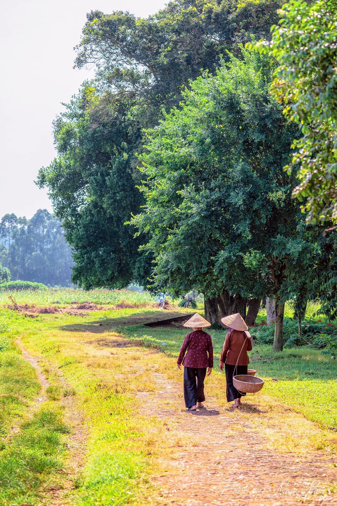 Ngỡ ngàng với những ngôi làng nhuốm màu thời gian trải dài khắp Việt Nam - 6
