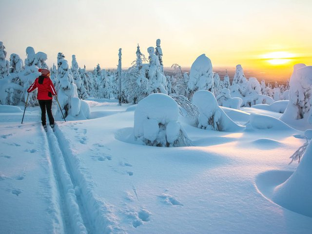 Lý do khiến Phần Lan là quốc gia hạnh phúc nhất thế giới - 4