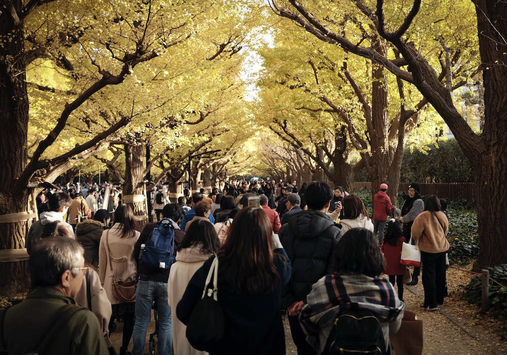 3 trải nghiệm tận hưởng mùa thu Nhật Bản - 1