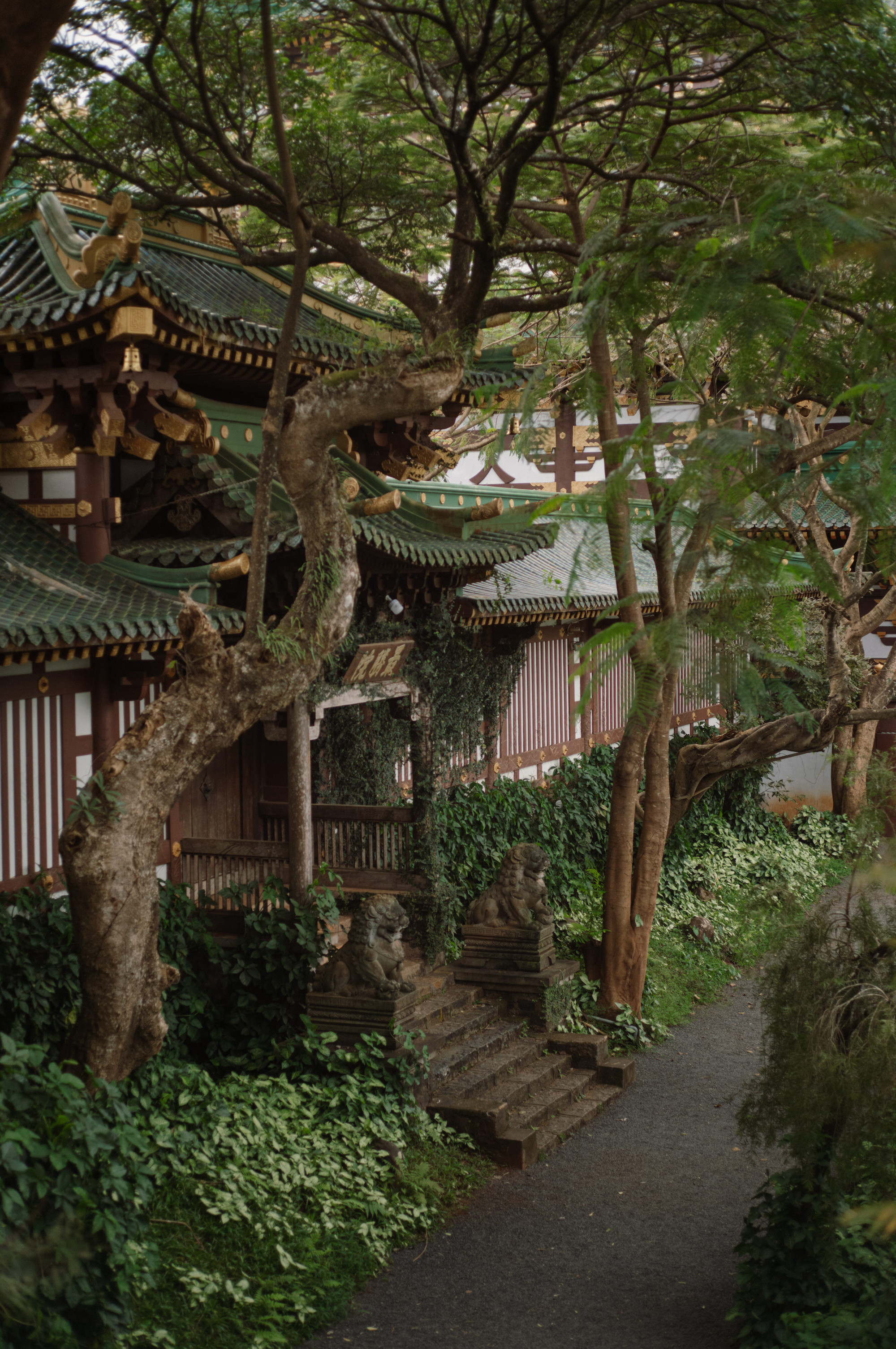 Ngôi chùa kiến trúc độc đáo, khuôn viên xanh mát nổi tiếng nhất Gia Lai - 19