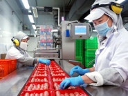 Tăng tốc chuẩn bị nguồn hàng phục vụ tết