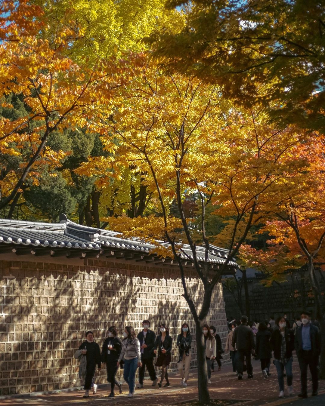 5 điểm ngắm lá vàng mùa thu gần trung tâm Seoul - 10