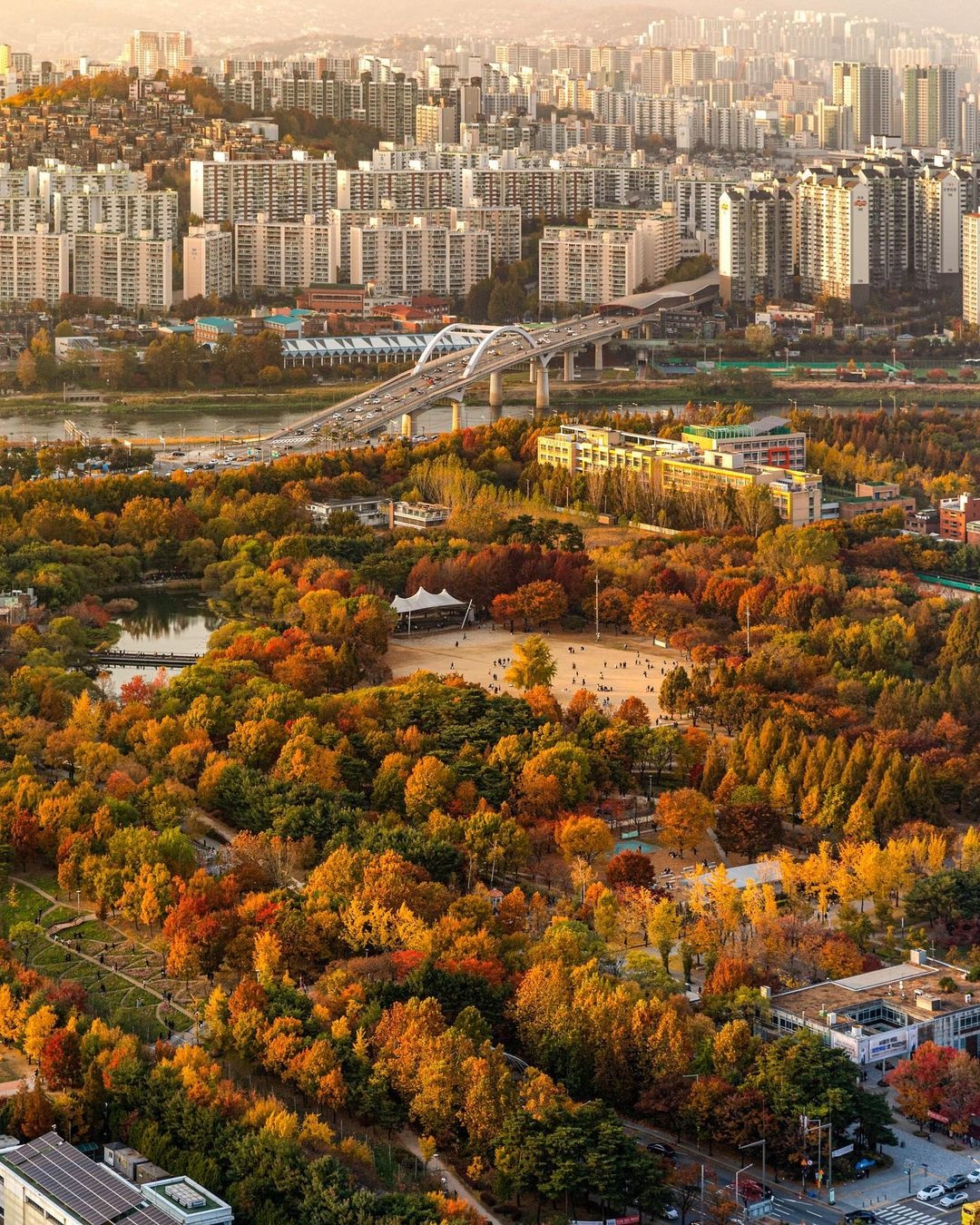 5 điểm ngắm lá vàng mùa thu gần trung tâm Seoul - 3