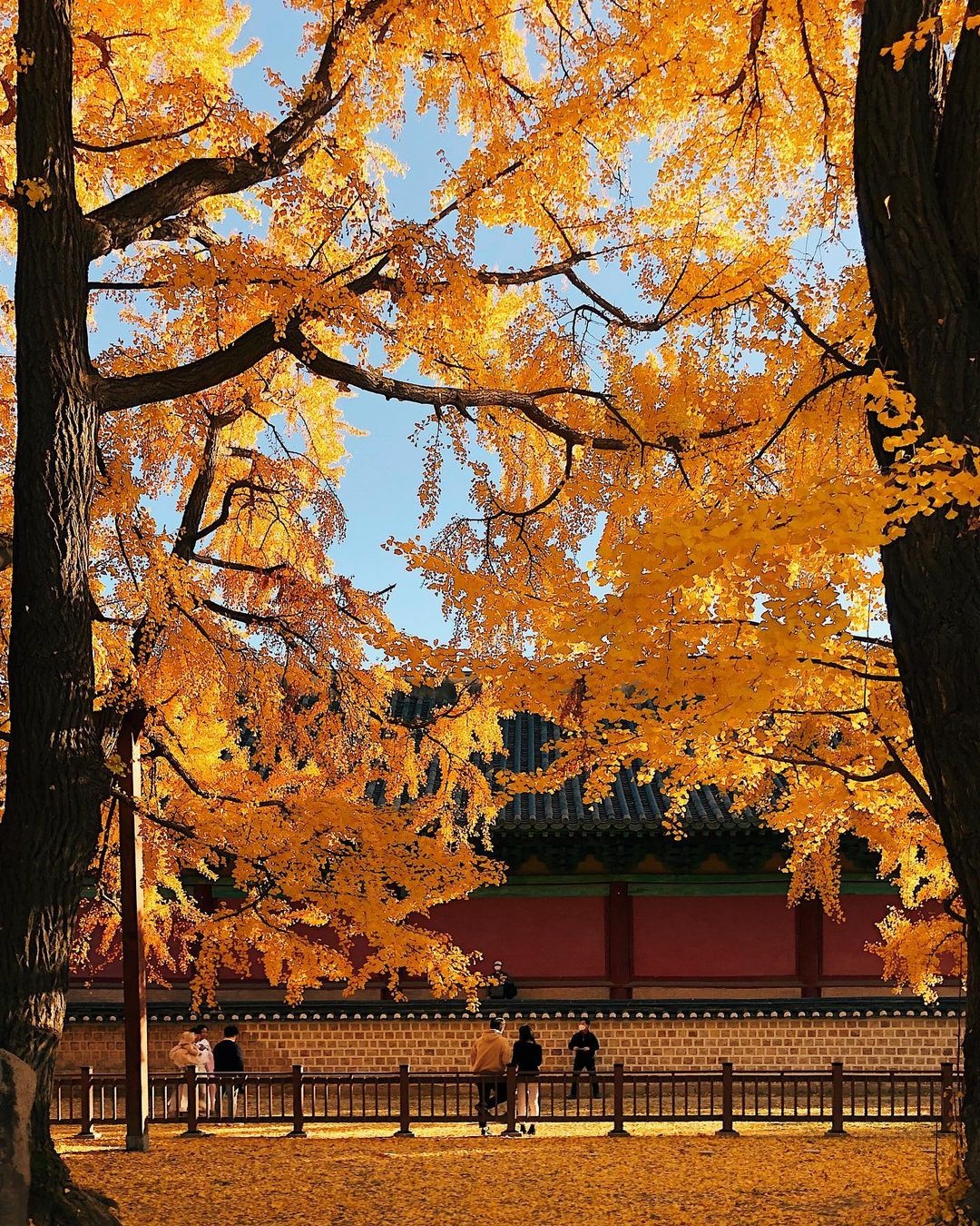 5 điểm ngắm lá vàng mùa thu gần trung tâm Seoul - 6