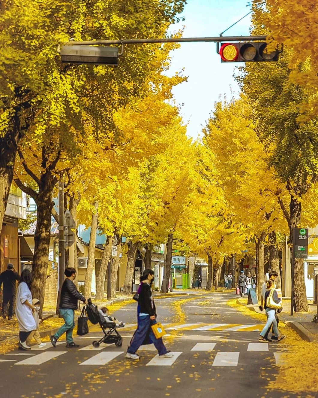 5 điểm ngắm lá vàng mùa thu gần trung tâm Seoul - 8