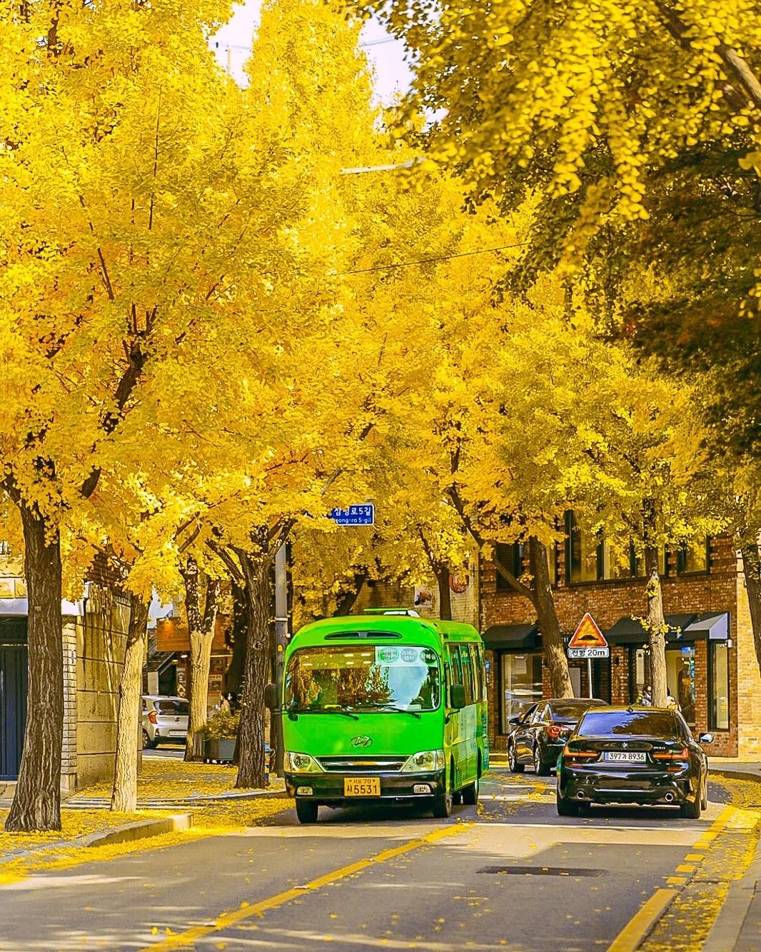 5 điểm ngắm lá vàng mùa thu gần trung tâm Seoul - 9