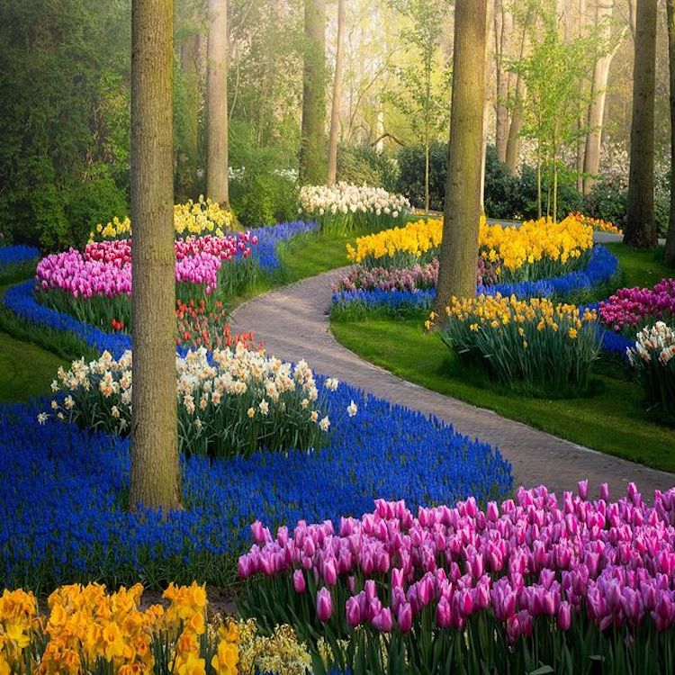 Xem Ngay: Gợi ý 7 phong cảnh hoa đẹp tốt nhất bạn cần biết - Thiết Kế Xinh