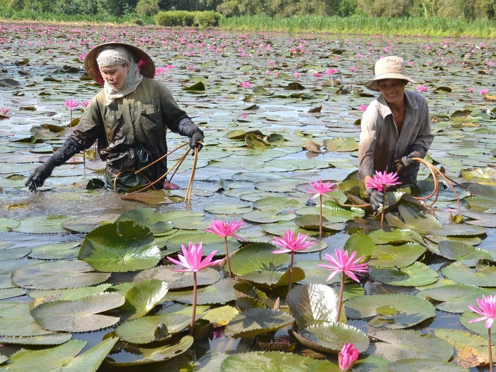 Khám phá du lịch bằng phát triển tình nguyện - 2