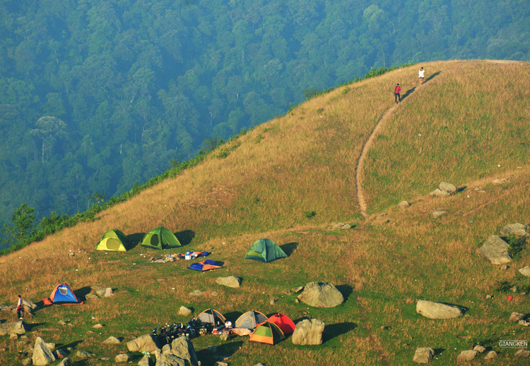 Admire the peaceful beauty of Vietnam's 4 steppes - 9