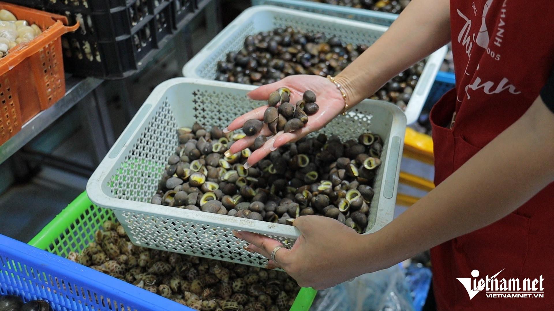 Cho ốc nằm điều hòa mát lạnh, chủ quán bán 'mỏi tay' vài tạ mỗi ngày - 2