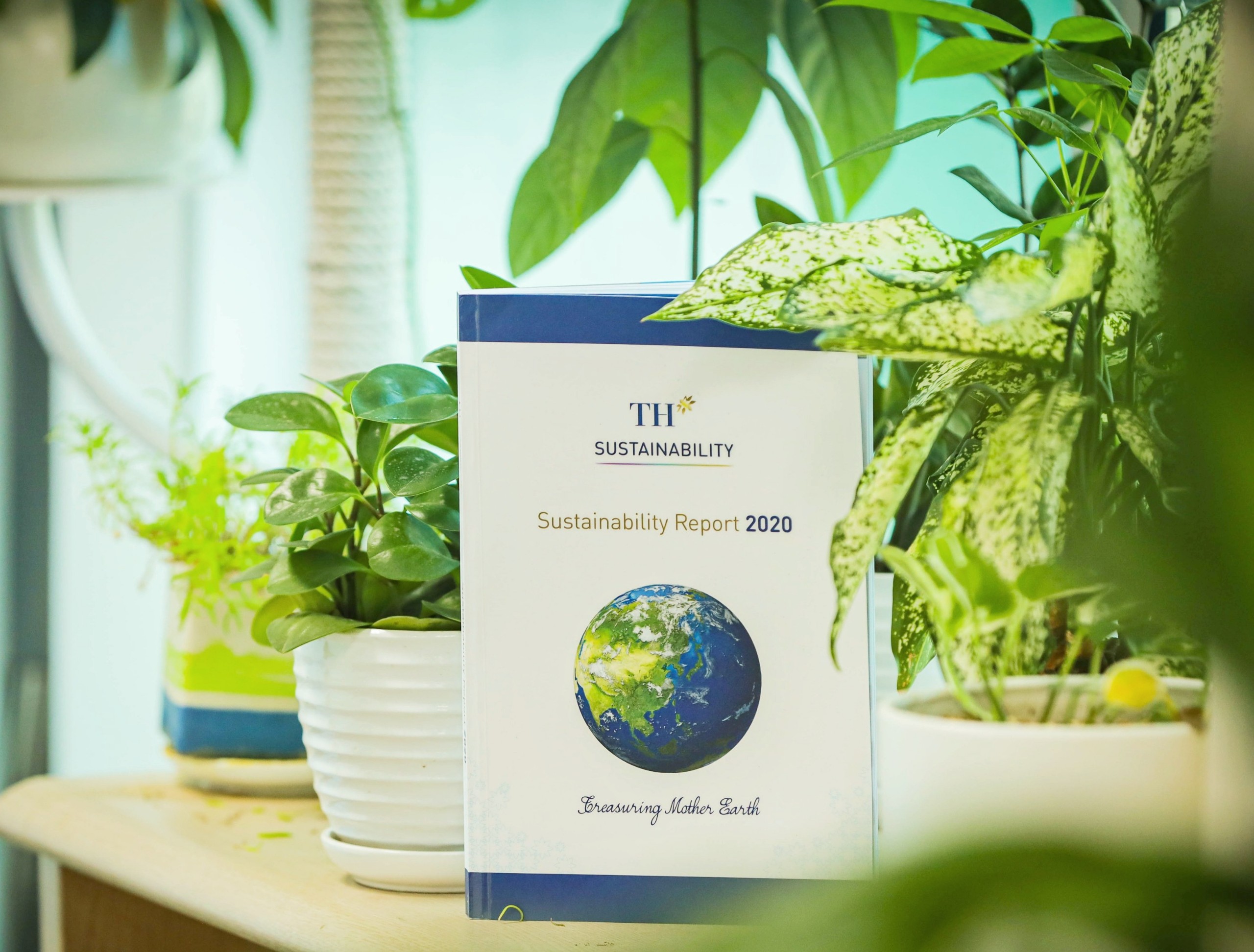 Vinh danh người trân quý Mẹ Thiên nhiên - 3