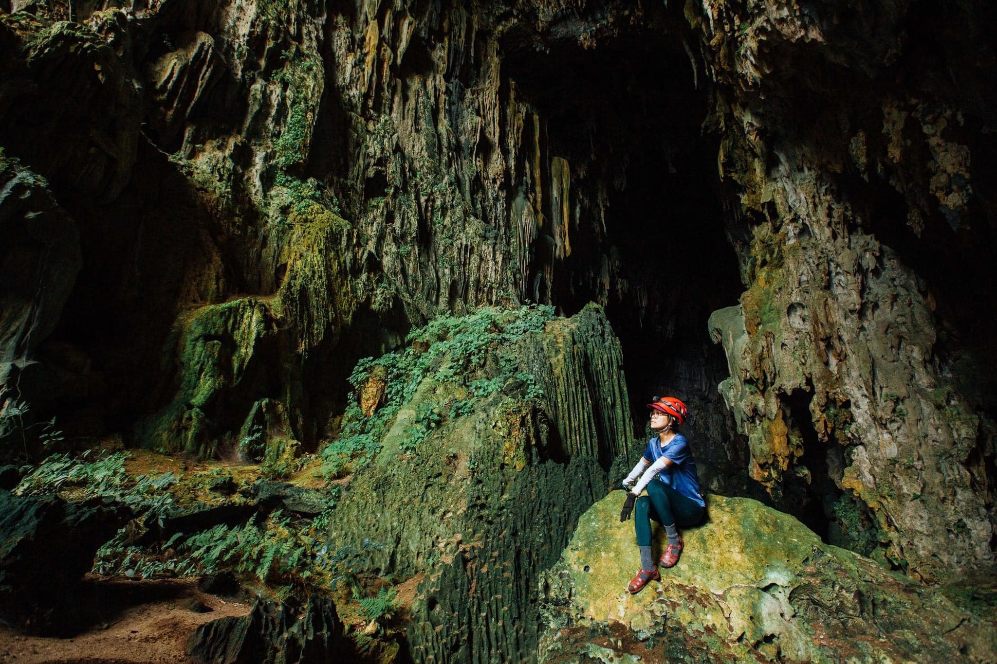 3 hang động đẹp nao lòng lại không khó chinh phục ở Quảng Bình - 4