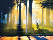 Sài Gòn đa sắc đầu đông