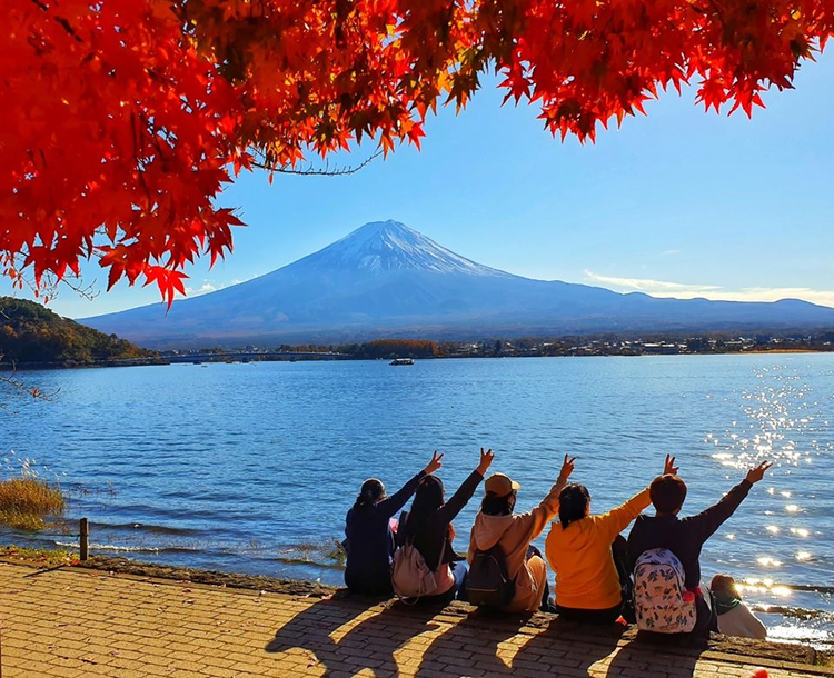 Mùa thu Nhật Bản rực rỡ, đẹp đến xiêu lòng - 2