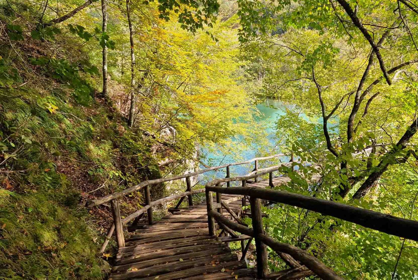 Choáng ngợp vẻ đẹp mùa Thu ở vườn quốc gia Plitvice, Croatia - 6
