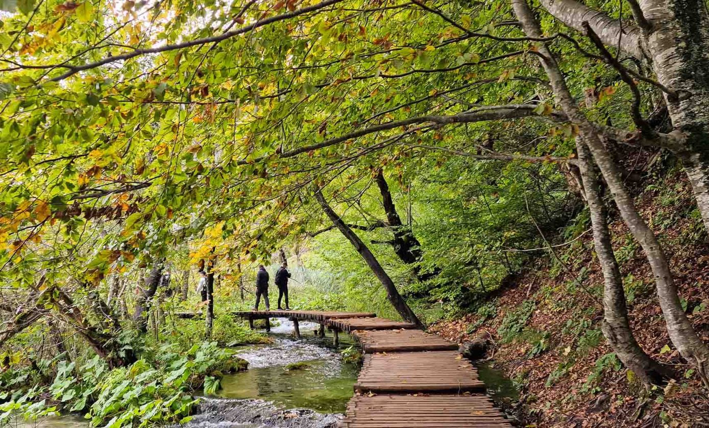 Choáng ngợp vẻ đẹp mùa Thu ở vườn quốc gia Plitvice, Croatia - 11
