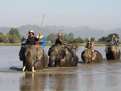 Chuyển động - Du lịch thân thiện với loài động vật lớn nhất thế giới