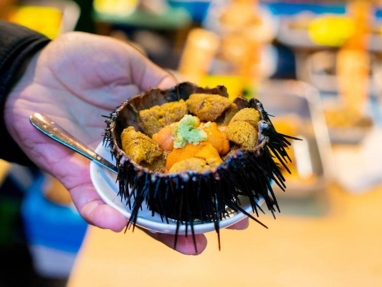 Nhím biển và những loại thực phẩm đắt nhất Nhật Bản