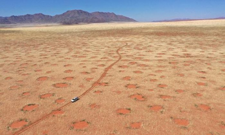 Giải mã thành công những "vòng tròn thần tiên" ở sa mạc Namib - 1