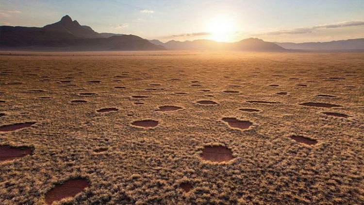 Giải mã thành công những "vòng tròn thần tiên" ở sa mạc Namib - 3