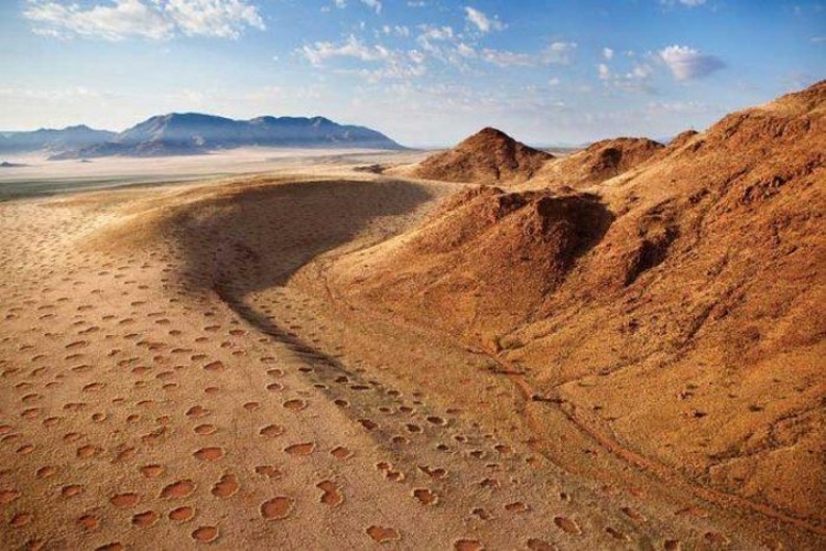 Giải mã thành công những "vòng tròn thần tiên" ở sa mạc Namib - 4