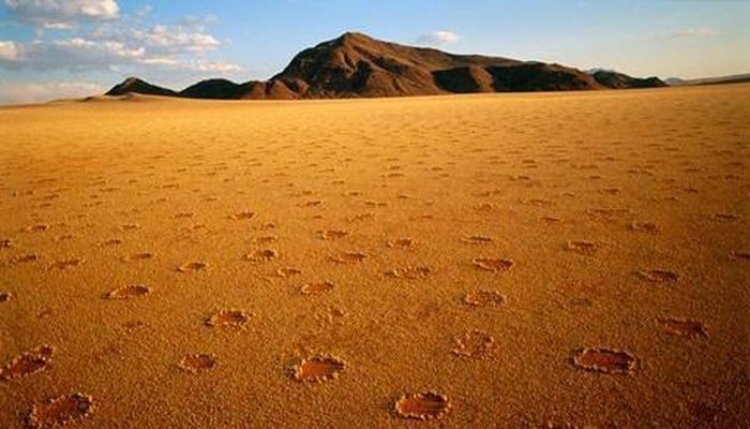 Giải mã thành công những "vòng tròn thần tiên" ở sa mạc Namib - 5