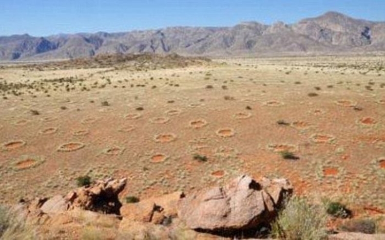 Giải mã thành công những "vòng tròn thần tiên" ở sa mạc Namib - 6