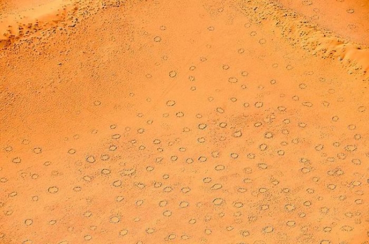 Giải mã thành công những "vòng tròn thần tiên" ở sa mạc Namib - 7
