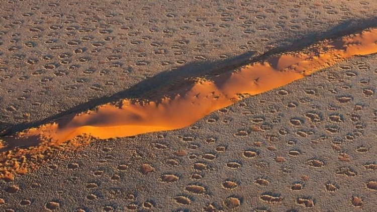 Giải mã thành công những "vòng tròn thần tiên" ở sa mạc Namib - 8