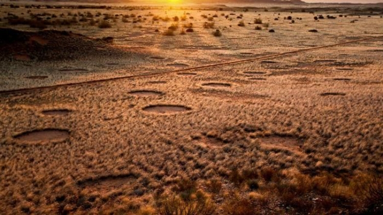 Giải mã thành công những "vòng tròn thần tiên" ở sa mạc Namib - 10
