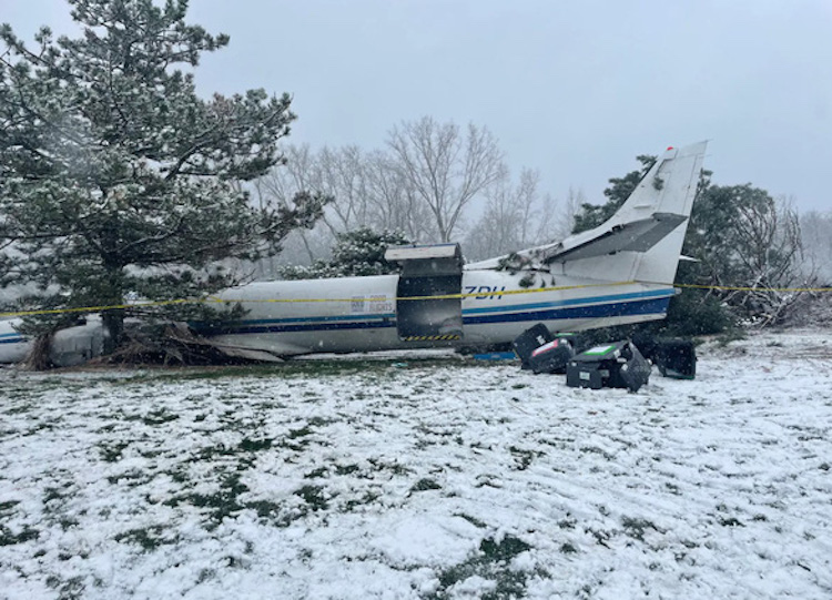 Máy bay rơi xuống sân golf, 53 chú chó sống sót - 1