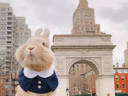 Chuyện hay - Chú thỏ nổi tiếng sau chuyến đi Mỹ sang chảnh cùng cô chủ