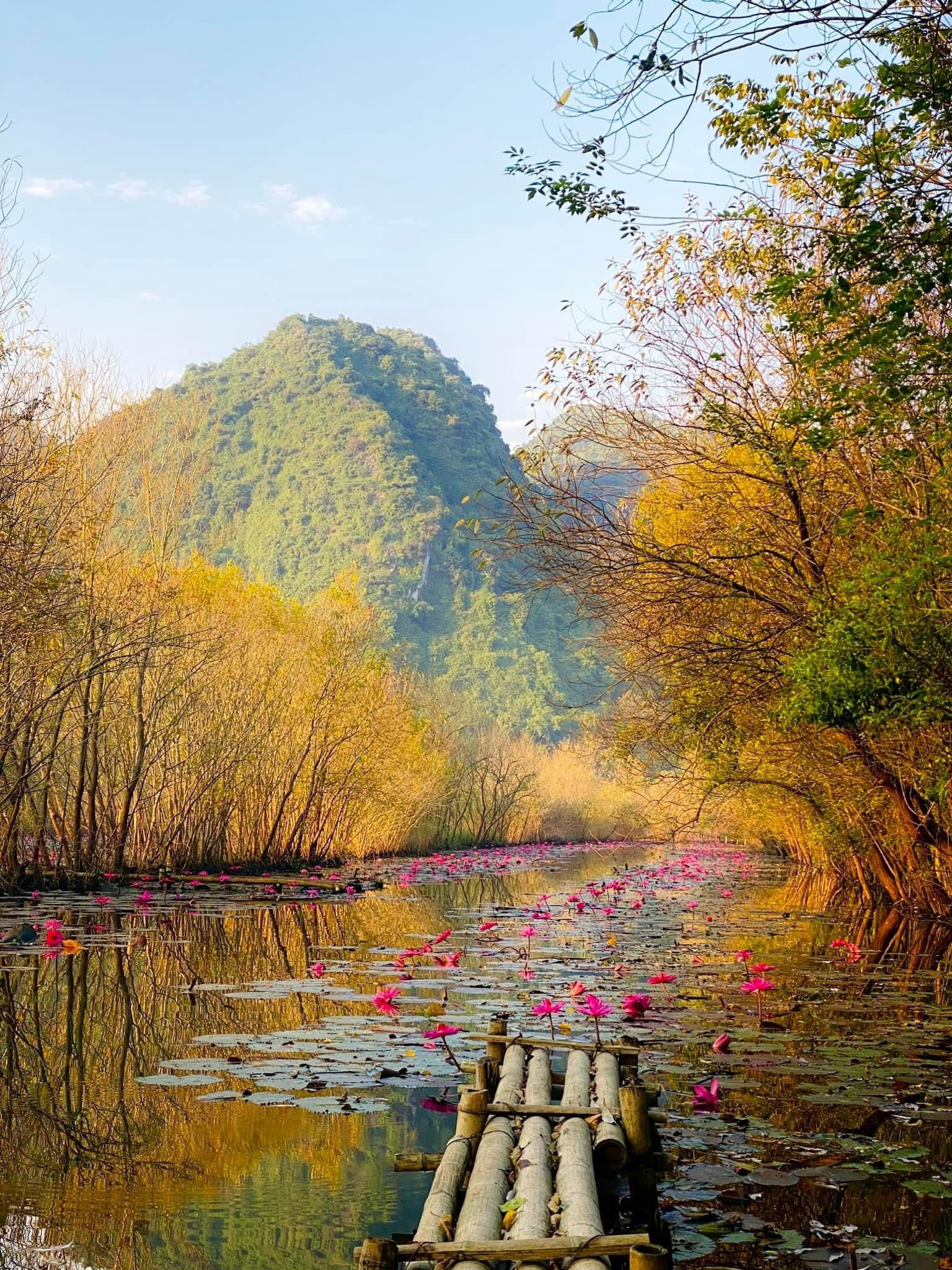 Tới chùa Hương ngắm thiếu nữ rạng ngời bên dòng suối 'nở hoa' - 1