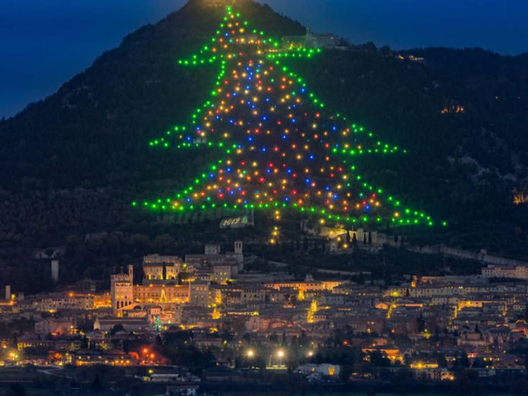 Cây thông Noel lớn nhất thế giới sắp được thắp sáng