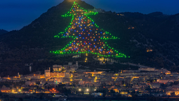Chiêm ngưỡng 5 cây thông Noel khổng lồ nổi tiếng thế giới - 2