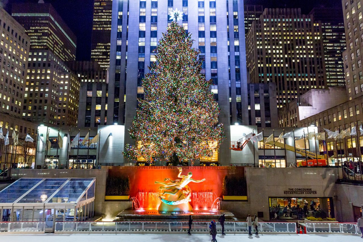 Chiêm ngưỡng 5 cây thông Noel khổng lồ nổi tiếng thế giới - 5