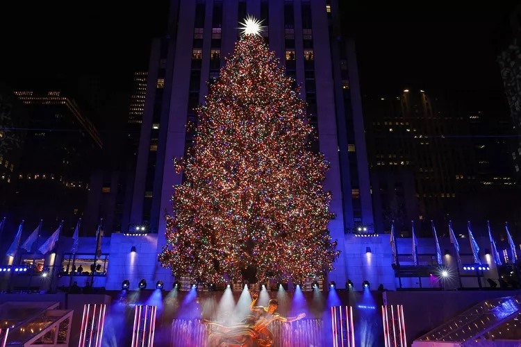 Hôm nay, 3 triệu ngôi sao pha lê thắp sáng cây thông Noel ở New York - 1