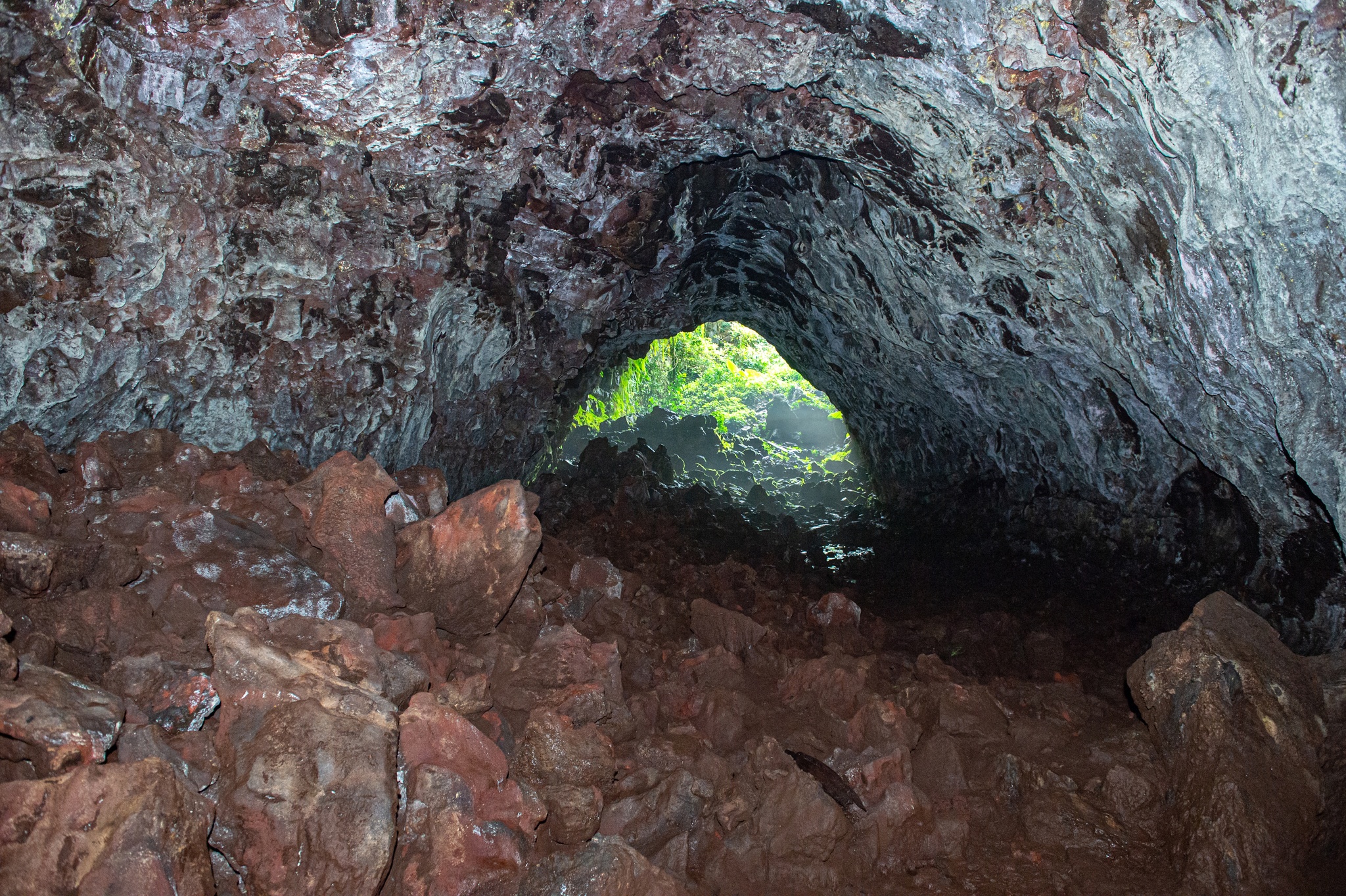Vẻ đẹp hoang sơ của hang động núi lửa dài nhất Đông Nam Á ở Đắk Nông - 3