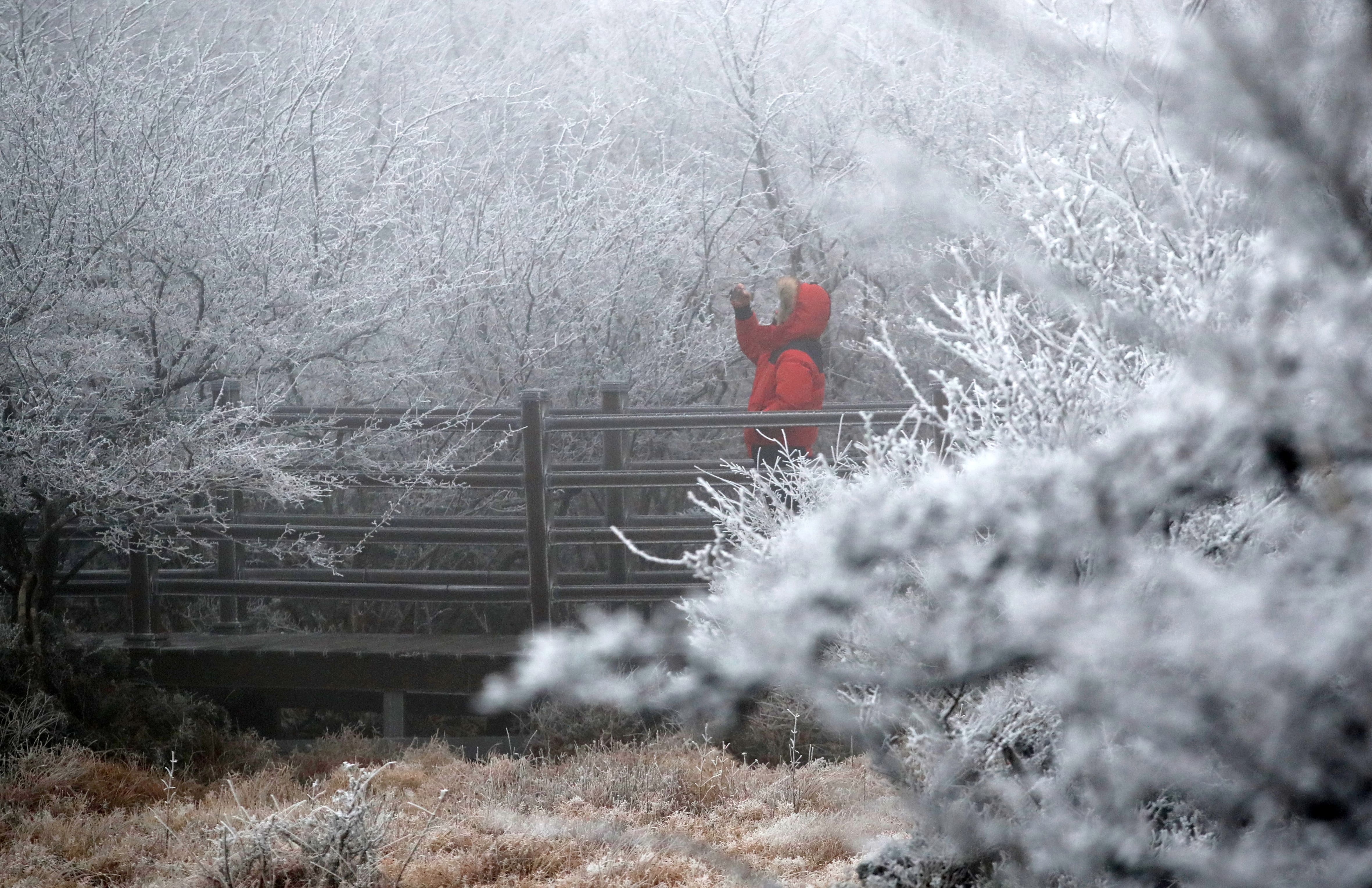 Hàn Quốc rét đậm, bắt đầu có tuyết rơi - 1