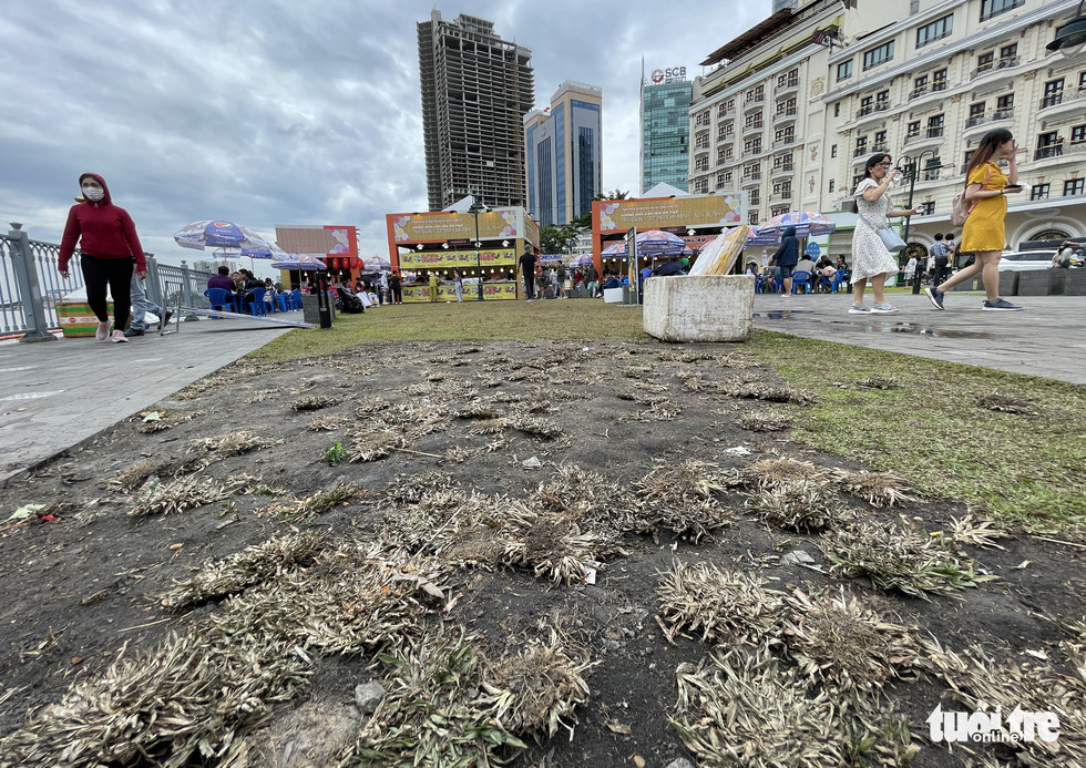 Hậu lễ hội 'Không gian văn hóa ẩm thực', thảm cỏ công viên bến Bạch Đằng tan hoang - 1