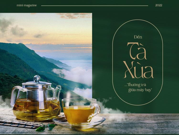 Đến Tà Xùa… thưởng trà giữa mây bay